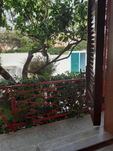 a red fence in front of a tree at Villa Calise in Forio d'Ischia