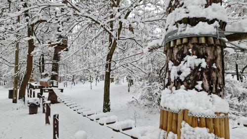 Zöld Relax Apartments