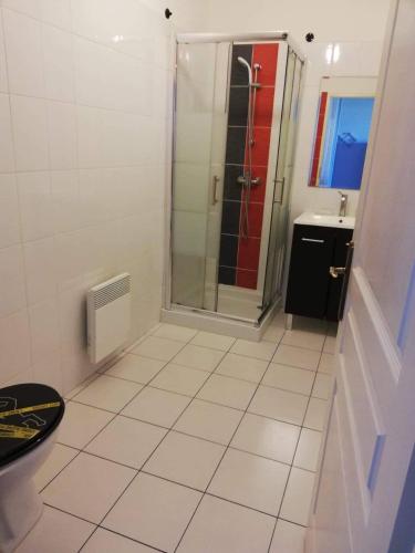 une salle de bain avec douche et lavabo dans l'établissement Studio calme proche de la gare de Borgo, à Borgo