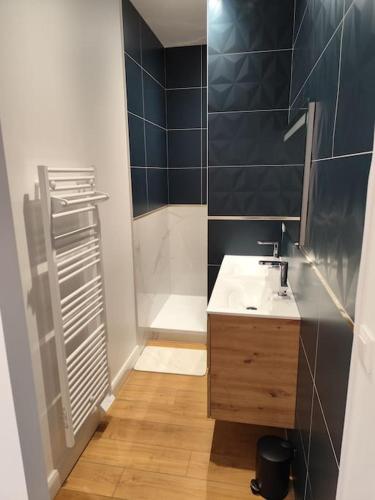 une petite salle de bain avec un lavabo et une douche dans l'établissement Appartement chic proche centre, à Épinal