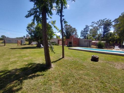 a group of trees in a yard with a swimming pool at La Francisca in San Miguel del Monte