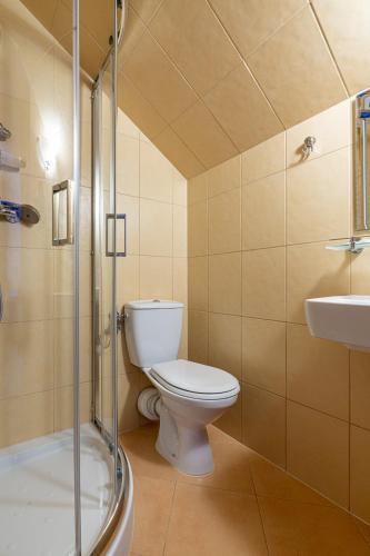 a bathroom with a toilet and a shower and a sink at Dunajecki Dworek in Zakopane