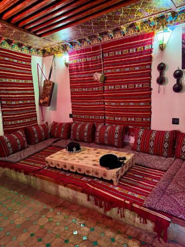 a living room with a couch with two cats on it at Riad Hamad Tijani in Fès