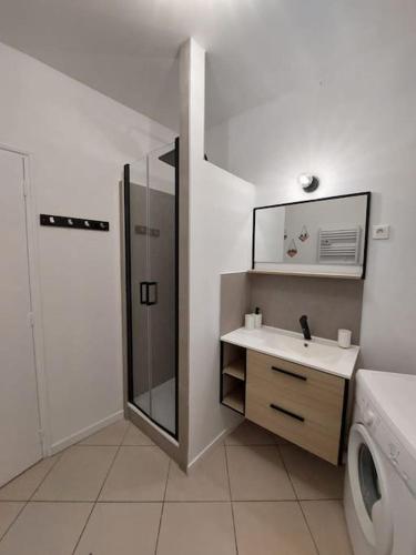 une salle de bain avec un lavabo et un miroir dans l'établissement Superbe appartement Intra-Muros, à Avignon
