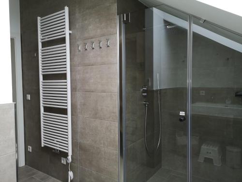Tauplitz Panorama Apartment, 75qm, Balkon und Sauna في توبليتز: حمام مع دش وباب زجاجي