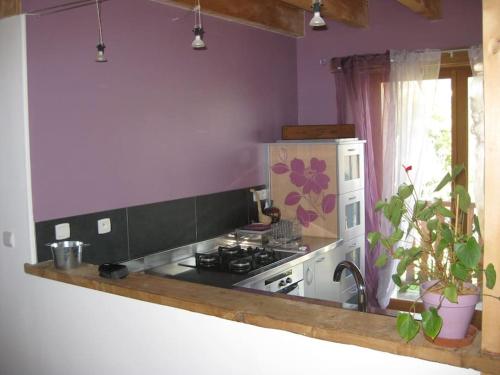 une cuisine aux murs violets avec une cuisinière et une fenêtre dans l'établissement Joli appartement de village, à Boussy