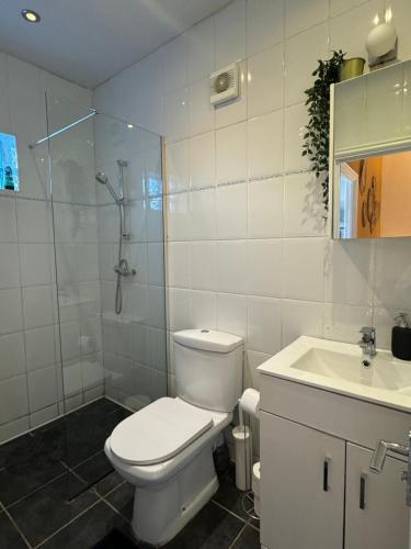 a bathroom with a toilet and a shower and a sink at Flat in Camden Kings Cross in London