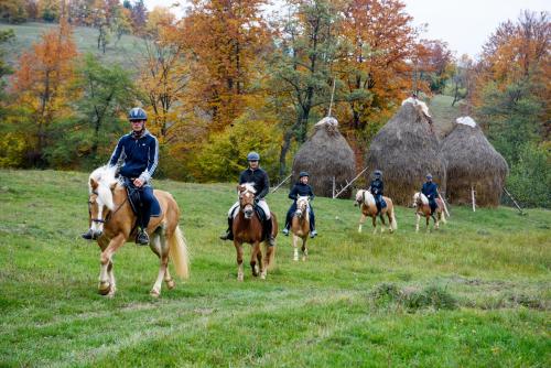 Gallery image of Potcoava Mountain Hideaway in Runcu