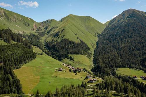 a group of animals in a field in the mountains at Berghaus Panorama in Bschlabs