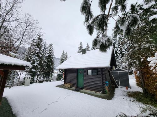a small cabin with a green door in the snow at WoodHouse by the River in Nazarje