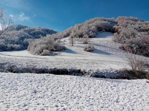 a snow covered hill with trees on it at Vikendica Mandic in Gornji Volari