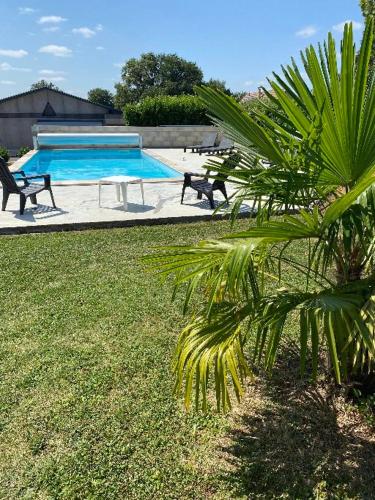 un palmier en face d'une piscine dans l'établissement Chez Pépé et Moumoune, à Rignac