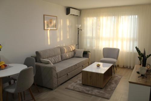 a living room with a couch and a table at Zemun Residence in Belgrade