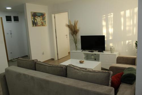 a living room with a couch and a flat screen tv at Zemun Residence in Belgrade