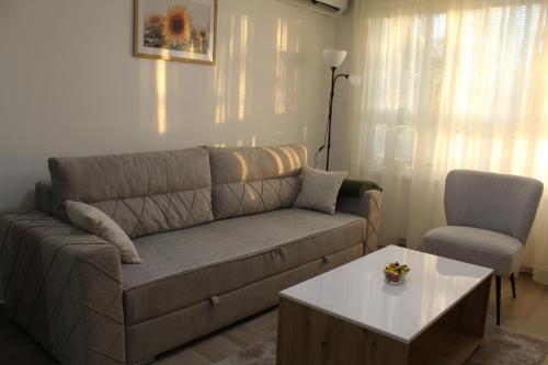 a living room with a couch and a coffee table at Zemun Residence in Belgrade