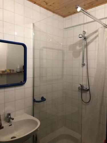 une salle de bain avec une douche, un lavabo et un miroir dans l'établissement Maison de village avec jardin, à Saint Firmin