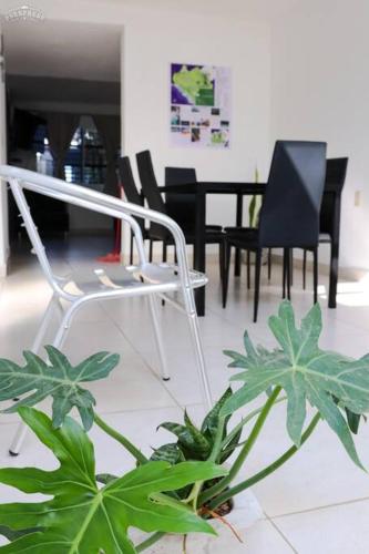 a white chair and some plants in a room at Casa Primavera in Tuxtla Gutiérrez