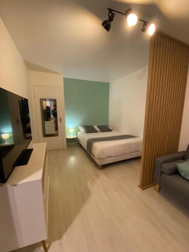 a bedroom with a bed and a couch at Le Girouard - City Center - Private Parking - WIFI, NETFLIX in Poitiers