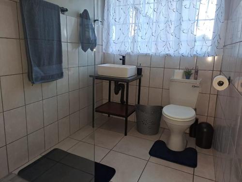 a small bathroom with a toilet and a sink at Rustic Farm Stay in Lydenburg