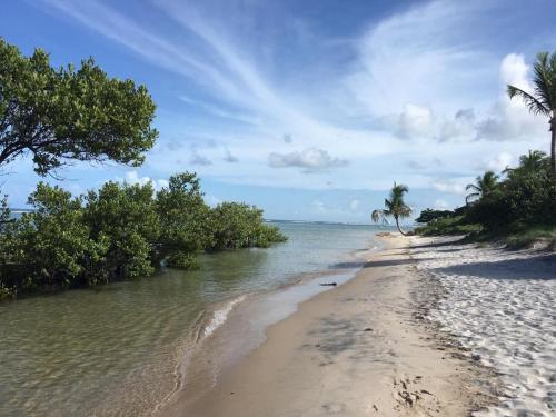 ein Strand mit Bäumen und Wasser und einem bewölkten Himmel in der Unterkunft Polinesia Resort - Porto de Galinhas - Apartamentos com opçao de terreo - Acesso ao Hotel Samoa - AllFlatsPorto in Porto De Galinhas