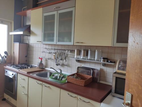 Η κουζίνα ή μικρή κουζίνα στο Kuća za odmor
