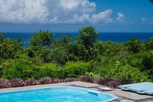 a swimming pool with the ocean in the background at Residence Les Essences de Menard in Saint-Louis