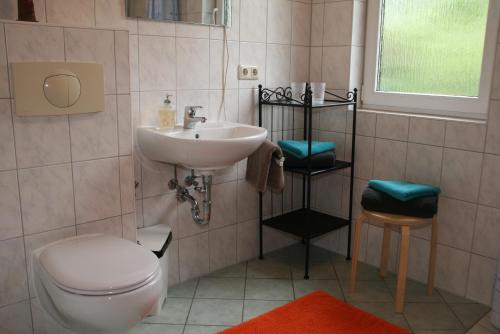 a bathroom with a toilet and a sink at Ferienhaus "Kleiner Schoner" in Rerik