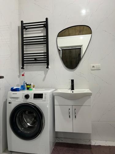 a bathroom with a washing machine and a mirror at Rcheuli Villa in Charnali in Batumi