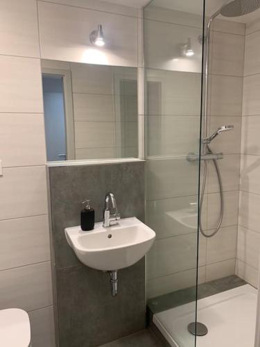 Koupelna v ubytování Ferienwohnung Waldblick
