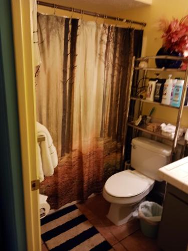 a bathroom with a toilet and a shower curtain at Randy's Roost in Santa Fe