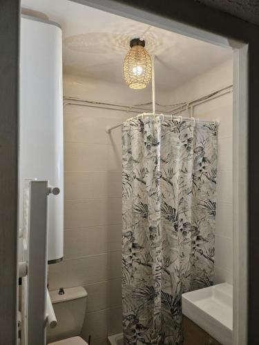 une salle de bain avec un rideau de douche et des toilettes dans l'établissement Superbe terrasse, rénové, WIFI, à Font-Romeu-Odeillo-Via