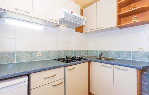 a kitchen with white cabinets and a sink at Pet Friendly Apartment In Moscenicka Draga in Mošćenička Draga