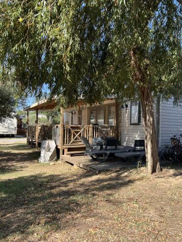 une maison avec une terrasse couverte dotée de chaises et d'un arbre dans l'établissement Camping Del Mar B10, Mobile Home Excellence, 3 chambres, 6 personnes, bord de mer, à Argelès-sur-Mer