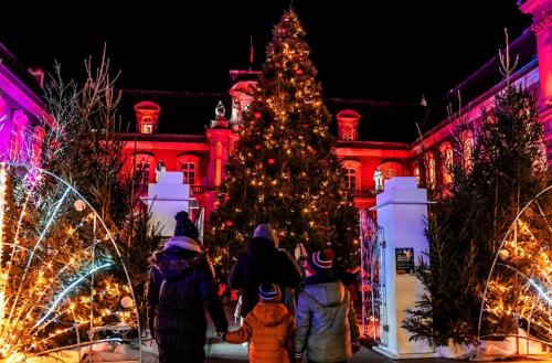 a group of people standing in front of a christmas tree at Maison confortable, terrasse et jardin à Amiens in Amiens