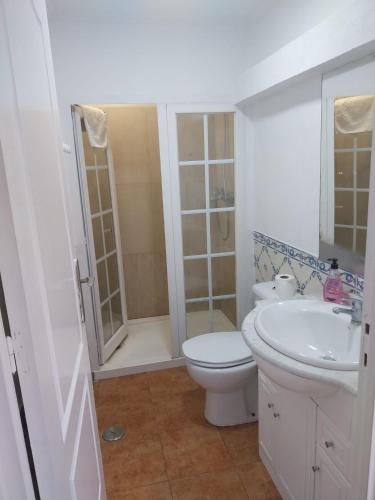 a bathroom with a toilet and a sink and a shower at Casa Santa Maria - apartamento C in Ermidas
