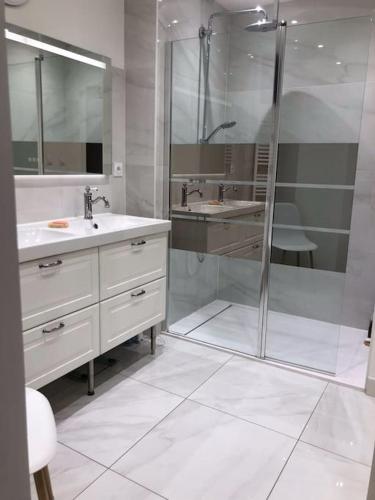 une salle de bain avec deux lavabos et une douche dans l'établissement Cosy apartment centre Le Mans 5min train station, au Mans