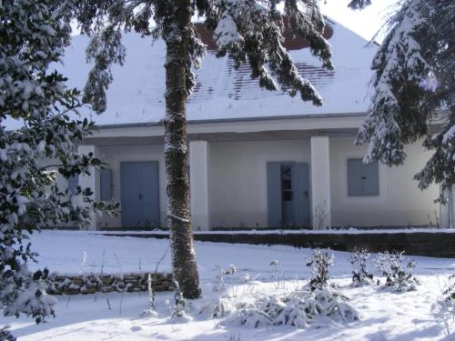 a house in the snow with trees in the foreground at Bagolyvár Fogadó- Újfalusy Márton Vendégház in Zirc