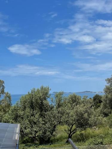 Cozy Seaside Retreat