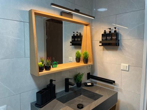 La salle de bains est pourvue d'un lavabo, d'un miroir et de plantes. dans l'établissement Magnifique Studio Plein centre vue panoramique, à Chamonix-Mont-Blanc