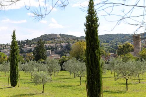 a field of trees with a city in the background at Les Tilleuls d'Elisée in Vaison-la-Romaine