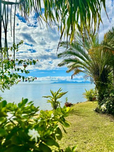 O'coco Bungalow- Breathtaking waterfront views, hébergement à Tahiti