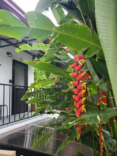1Cozy, Smart TV 45-Netflix, Parking, BaguioFeels