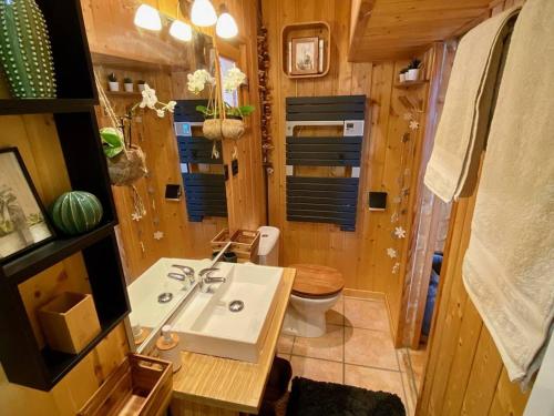 un piccolo bagno con lavandino e WC di Chalet chaleureux avec jacuzzi, parking et Wi-Fi aux Angles - FR-1-593-121 a Les Angles