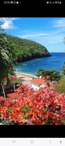 a view of a beach with a bunch of flowers at Maison charmante à Rivière-Pilote avec vue sur la montagne in Rivière-Pilote