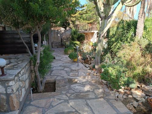 a garden with a stone walkway with trees and shrubs at Rantzo Holiday Apartments in Pissouri