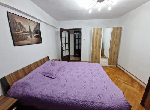 Gallery image of Amedeea Accomodation 2 in Timişoara