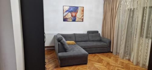 Gallery image of Amedeea Accomodation 2 in Timişoara