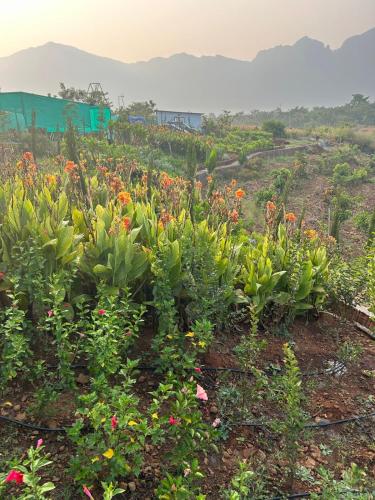 Gallery image of The Nature House Murbad in Murbād