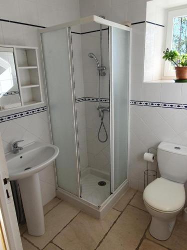 une salle de bain avec une douche, des toilettes et un lavabo dans l'établissement Le logis de l'epinoux, à Jardres
