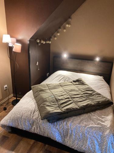 a bedroom with a bed with a black headboard at Le petit boulanger, grand 70 m2, garage disponible in Mulhouse